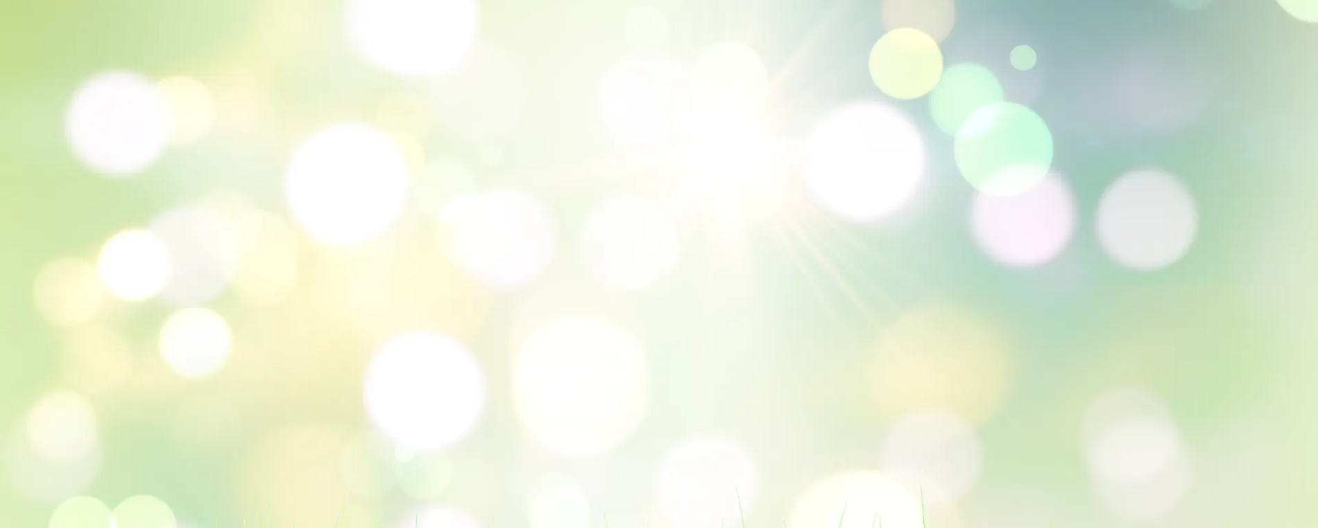 Exklusivmarken im Sale